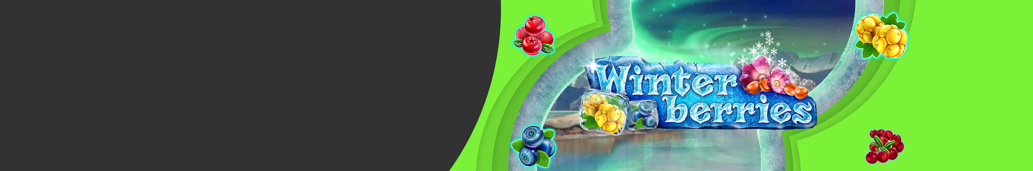 Winterberries Slots
